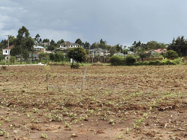 Quarter Acre for Sale in Gikambura Kikuyu Kiambu County. - thumbnail 4