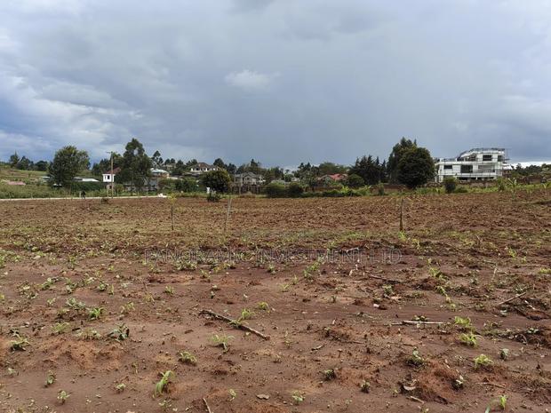 Quarter Acre for Sale in Gikambura Kikuyu Kiambu County. - thumbnail 7