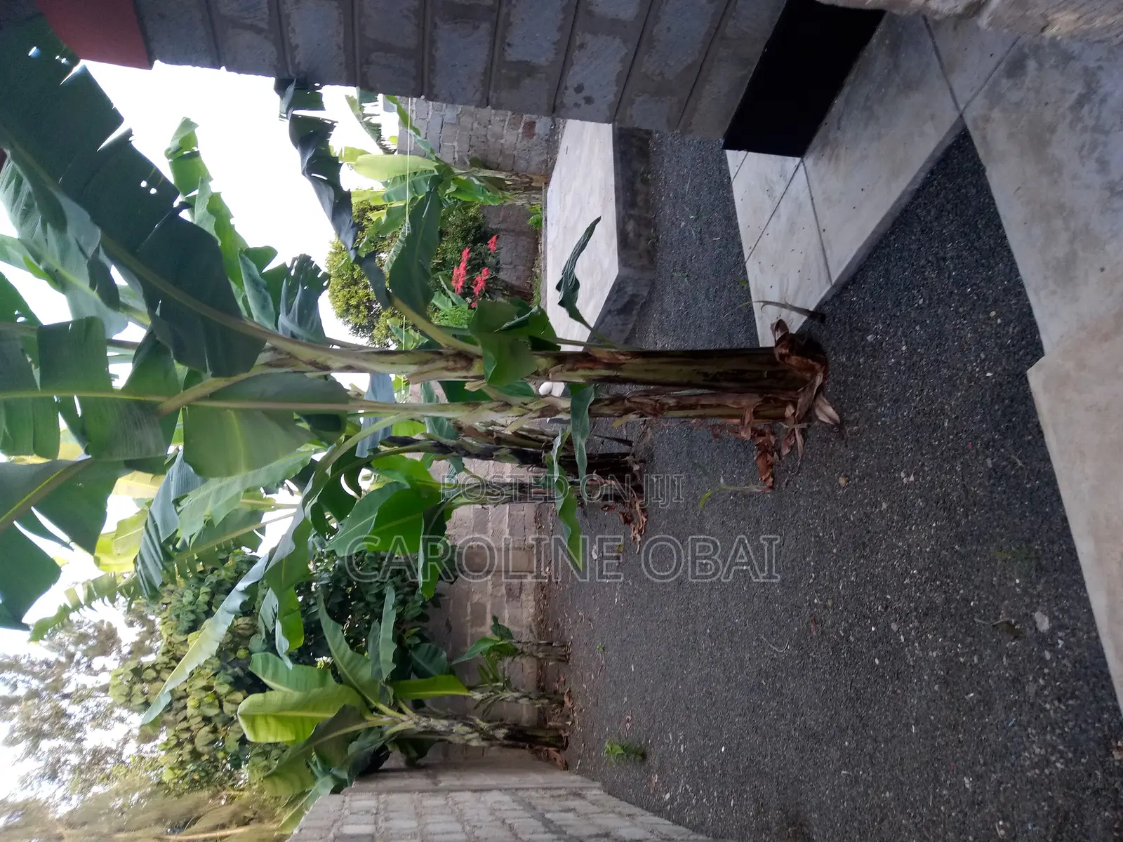 3bdrm Bungalow in Matasia for sale