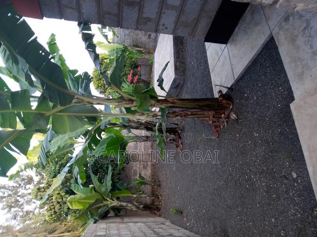 3bdrm Bungalow in Matasia for sale - thumbnail 9