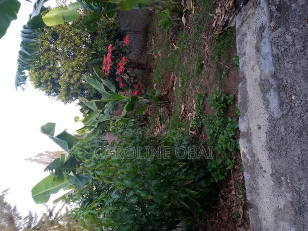 3bdrm Bungalow in Matasia for sale - thumbnail 10
