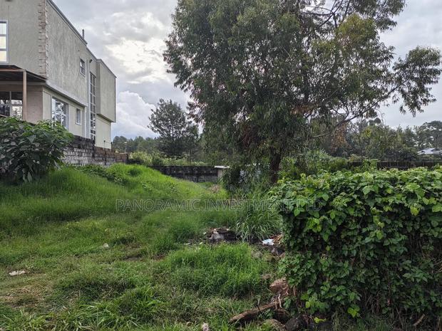 50x100 Plot for Sale Lower Kabete Kiambu County. - thumbnail 3