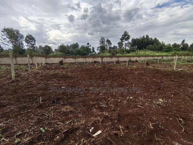 50x100 Plot for Sale Lower Kabete Kiambu County. - thumbnail 6