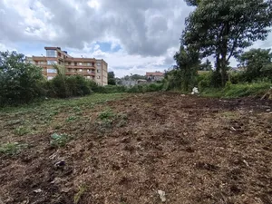 Eighth Acre for Sale in Muthure Kikuyu Kiambu County.