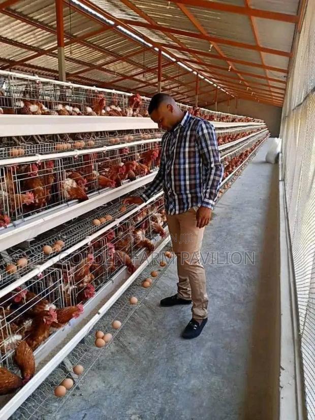 We Buy Ex Layers / Off Layers - main view