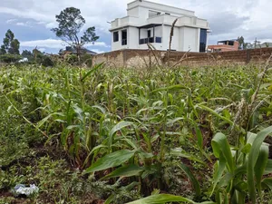 Quarter Acre for Sale in Gikambura Kikuyu Kiambu County.