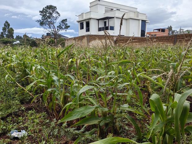 Quarter Acre for Sale in Gikambura Kikuyu Kiambu County.