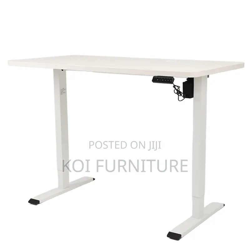 Office Desk : 1.2m Electric Height Adjustable Standing Desk