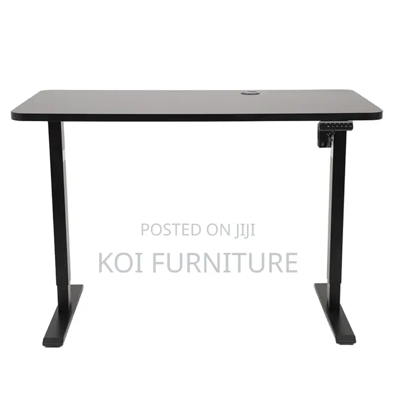 Office Desk : 1.2m Electric Height Adjustable Standing Desk