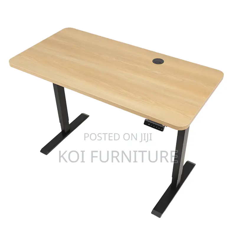 Office Desk : 1.2m Electric Height Adjustable Standing Desk