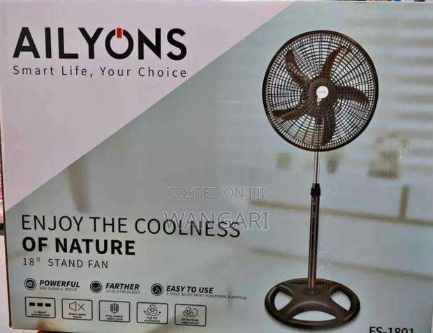 Standing Fan Black