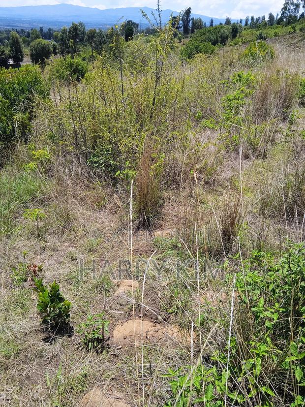50*100 Plot, Near Mahiga Shopping Center, Mahiga-Gathima Road - thumbnail 2