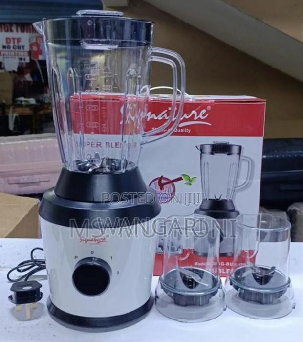 Signature Blender 3 in 1