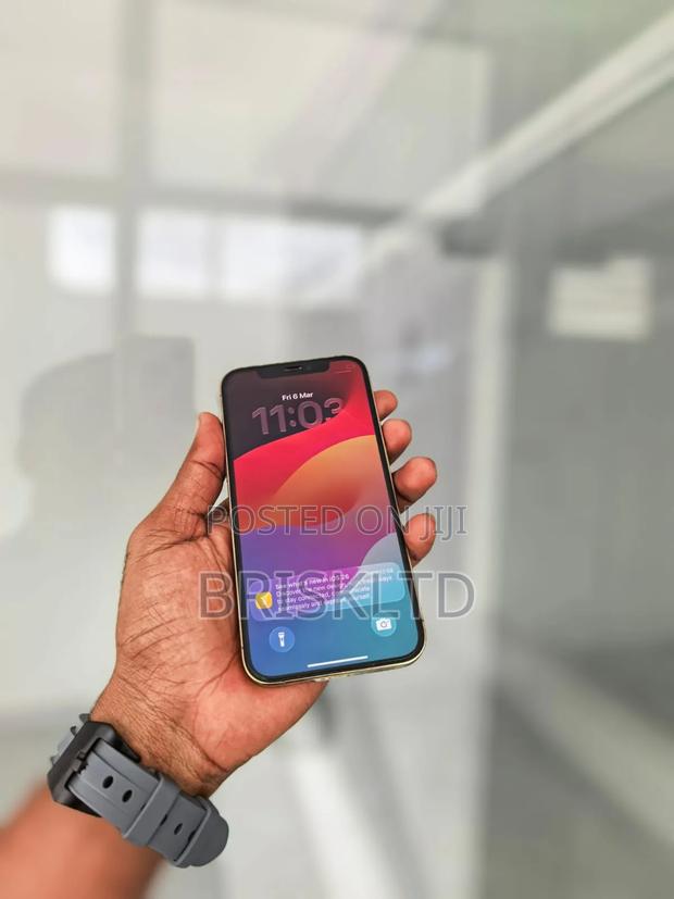 Apple iPhone 12 Pro 256 GB Pink - thumbnail 2