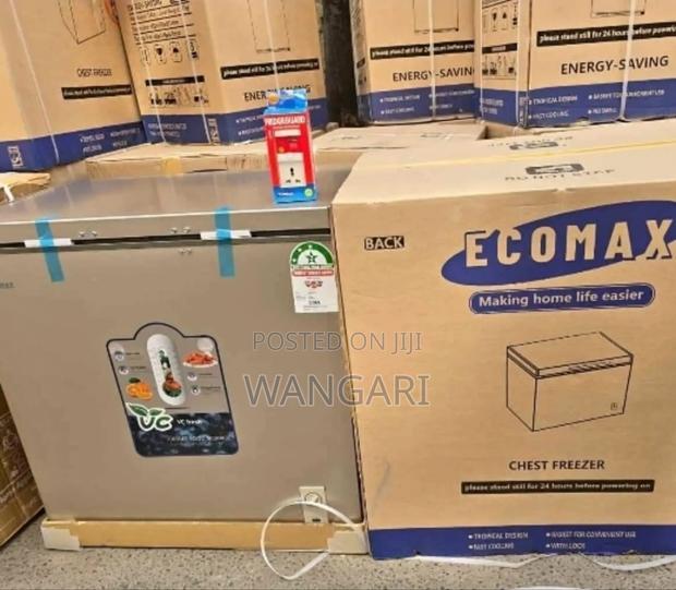 Low Power Consumption Ecomax 60 Litres Freezer With Fridge Guard