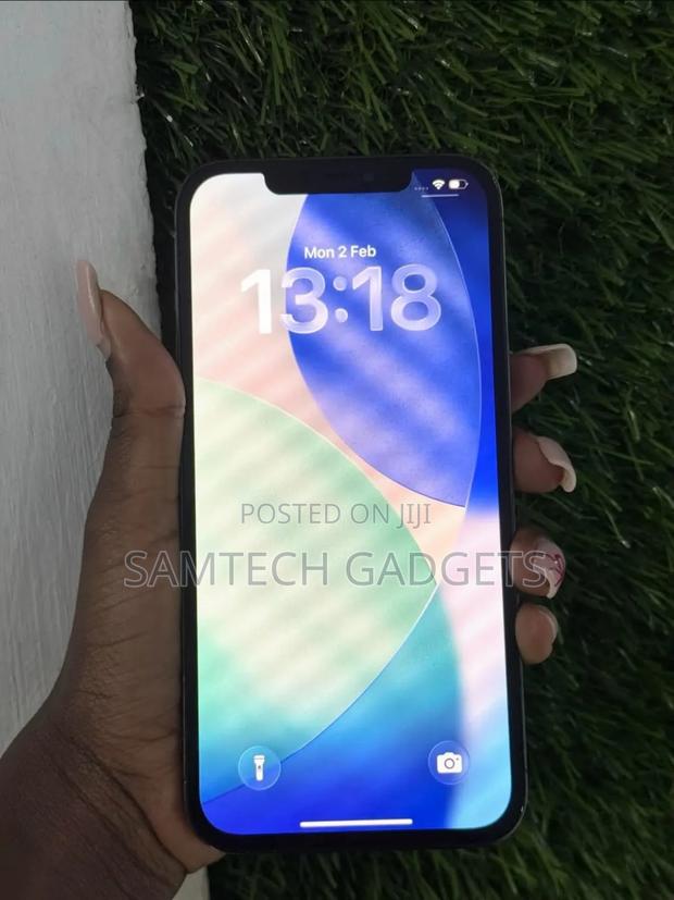 Apple iPhone 12 Pro Max 256 GB Gray - thumbnail 3