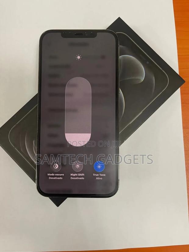 New Apple iPhone 12 Pro Max 256 GB Gray - thumbnail 3