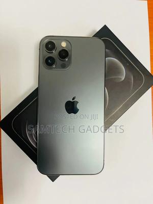 New Apple iPhone 12 Pro Max 256 GB Gray - thumbnail 2