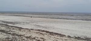 7 Acres Prime Beach Land - thumbnail 2