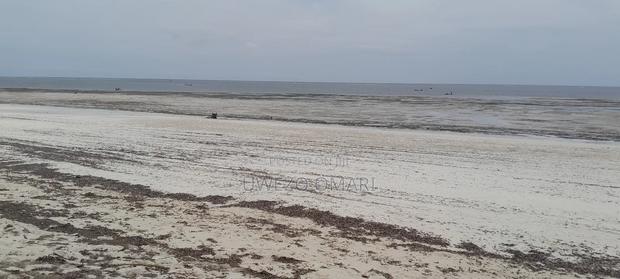 7 Acres Prime Beach Land - main view