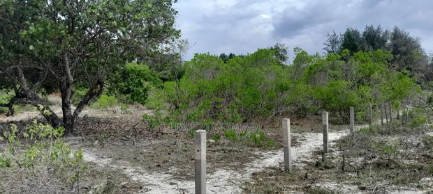 7 Acres Prime Beach Land - thumbnail 2