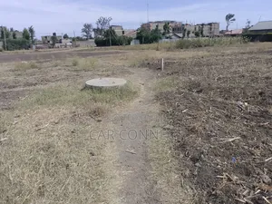 Comment Plot