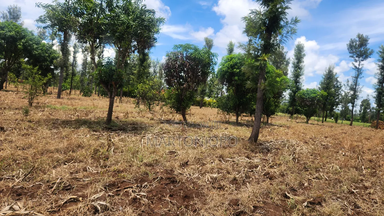 2 Acres Makutano [ Sagana]