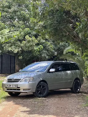 Toyota Corolla Fielder 1.5 Petrol FWD 2003 Silver