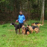 Jaymaish vet care logo