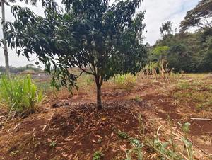 Quarter Acre - thumbnail 2