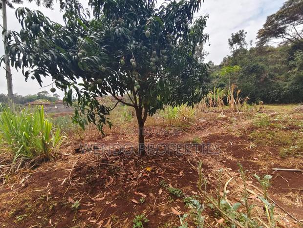 Quarter Acre - main view