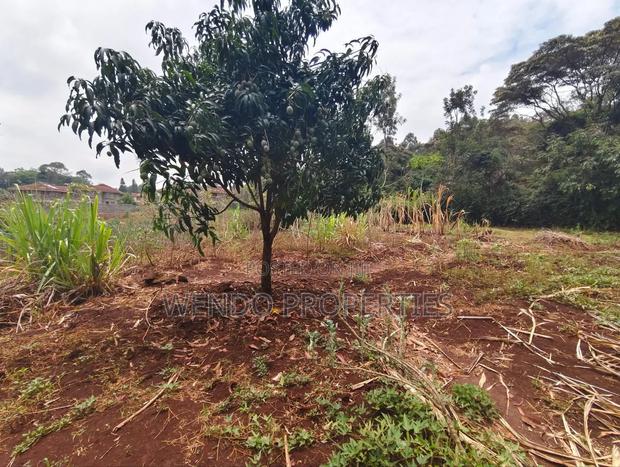 Quarter Acre - thumbnail 3