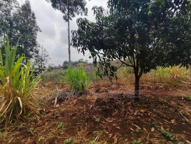 Quarter Acre - thumbnail 4