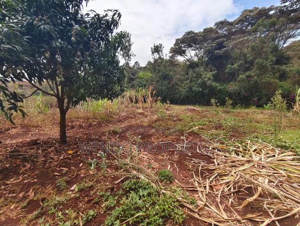 Quarter Acre - thumbnail 5