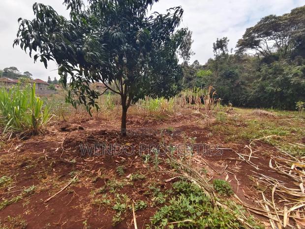 Quarter Acre - thumbnail 6