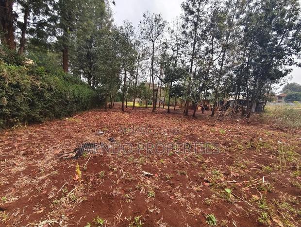 Quarter Acre - thumbnail 7