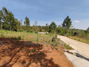 Eighth of Acre - main view