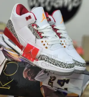 Jordan 3 Special