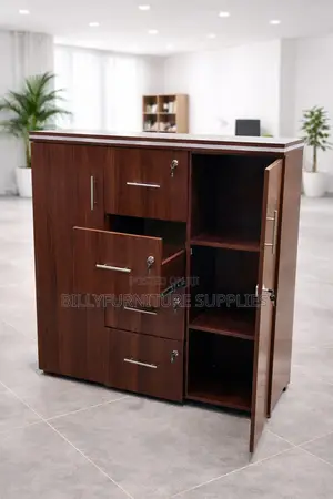 Multi-Purpose Office Storage Cabinet With Drawers and Door