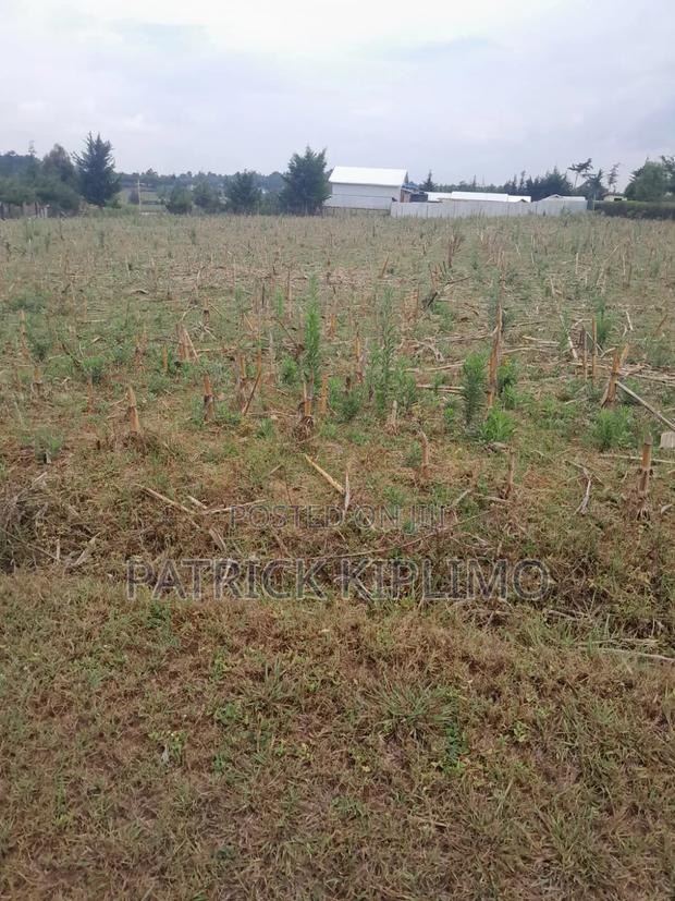 Illula(Limo) Half Acre Plot.
