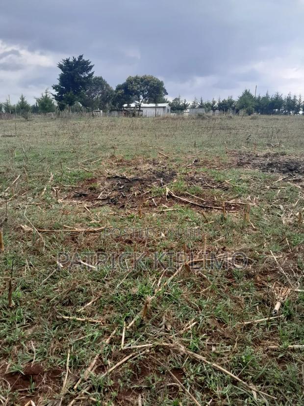 Illula(Limo) Half Acre Plot. - thumbnail 4