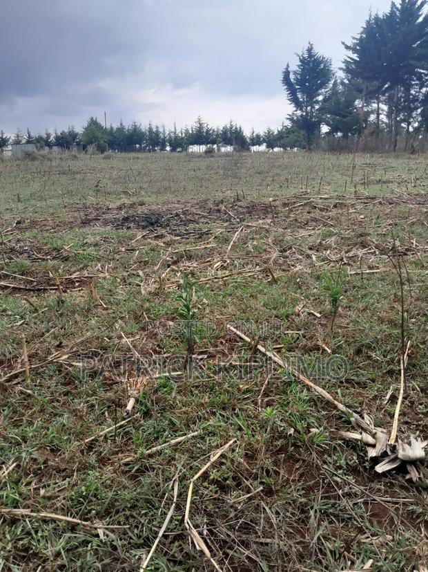 Illula(Limo) Half Acre Plot. - thumbnail 5