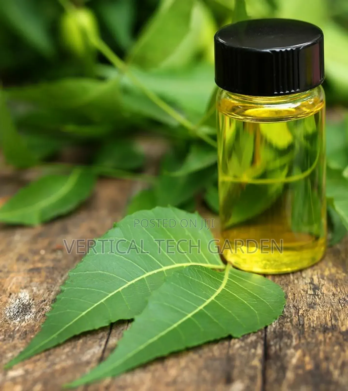 Neem Oil the Plant Protector