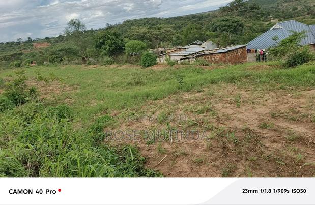 1acre at Mukamukuu - main view