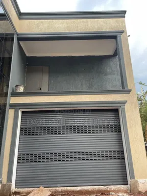 Commercial Automatic Entry Door