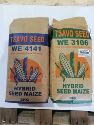 Tsavo Maize Seedlings Brands 3106