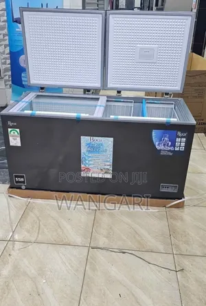 Roch 455 Litres Freezer Double Door