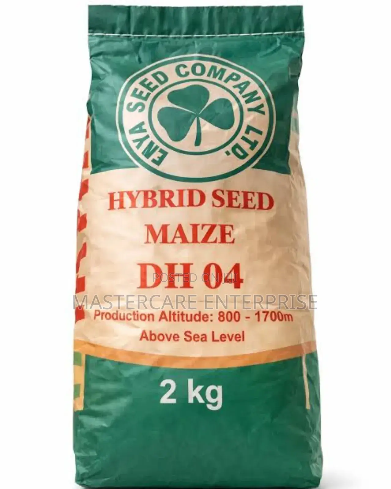 Hybrid Dh 104 Maize