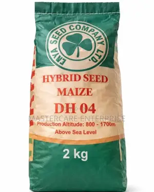 Hybrid Dh 104 Maize