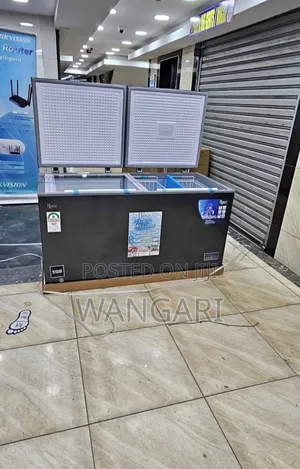 Commercial Roch 455 Litres Freezer Double Door